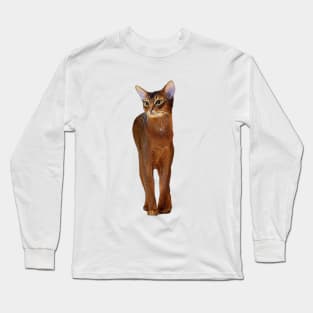 Abyssinian Cat Kitten Long Sleeve T-Shirt